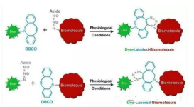 DBCO-NHCO-PEG12-maleimide 一種 PROTAC linker，屬于 PEG 類