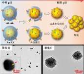 Cy7 DBCO；Cy7-Dibenzylcyclooctyne； Cyanine7-二苯基環(huán)辛炔