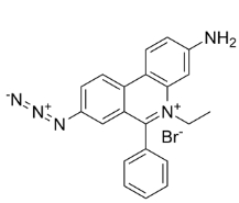 EMA[單疊氮化溴乙非啶]，CAS號(hào)：58880-05-0，EMA [Ethidium monoazide bromide]