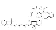 CY7-二苯基環(huán)辛炔;二苯并環(huán)辛炔-CY7;CY7-二苯并環(huán)辛炔，DBCO-Cyanine7，CAS號：2253710-45-9