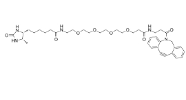 DBCO-PEG4-Desthiobiotin，Desthiobiotin-PEG4-DBCO，CAS號(hào)：2032788-37-5，二苯基環(huán)辛炔-四聚乙二醇-脫硫生物素