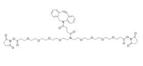 DBCO-N-bis(PEG4-NHS ester)，CAS:2639395-38-1，二苯基環(huán)辛炔-N-bis(四聚乙二醇-琥珀酰亞胺酯)