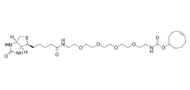 TCO-PEG4-biotin，CAS：2183440-30-2，反式環(huán)辛烯-四聚乙二醇-生物素