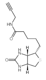 Biotin alkyne，CAS號：773888-45-2，生物素偶聯(lián)炔基