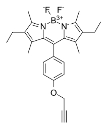 BODIPY-X-Alkyne，CAS號(hào)：1173281-82-7， 氟化硼二吡咯-X-炔基