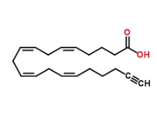 Arachidonic acid-alkyne，CAS號：1219038-32-0