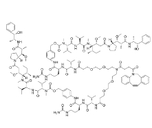 DBCO-(PEG2-VC-PAB-MMAE)2，CAS:2259318-55-1，二苯并環(huán)辛炔-(二聚乙二醇-VC-PAB-MMAE)2