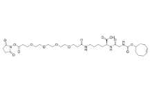 TCO-GK-PEG4-NHS ester， CAS:2307311-19-7