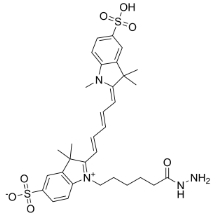 2055138-61-7；diSulfo-Cy5 hydrazide；二磺酸-CY5-酰肼	