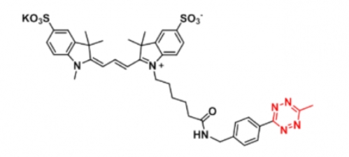 Me-tetrazine-Disulfo-Cyanine3；甲基四嗪-磺酸基Cy3