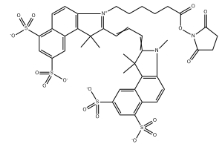 2231670-91-8；Sulfo-CY3.5 NHS ester	；磺酸基CY3.5活性酯	