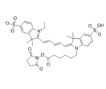 146368-14-1，Sulfo-Cyanine5 amine，Sulfo-Cyanine5，Sulfo-Cy5，胺基活性，CY5-NHS酯	