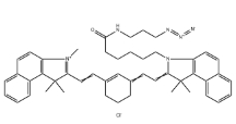 1628790-36-2，Cyanine7.5 azide,Cy7.5-N3,近紅外熒光染料，Cy7.5-疊氮	