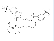 磺酸基-146368-16-3，Cy3-N-羥基琥珀酰亞胺酯,熒光染料,Sulfo-Cyanine3 NHS ester,		