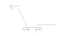 2107273-74-3；N-(azide-PEG3)-N＇-(Mal-PEG4)-Cy5		 瑞禧生物