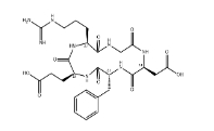 cyclo(RGD-DPhe-E) ，756500-22-8，RGD環(huán)肽        瑞禧生物