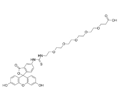 2183440-40-4，5-FITC-PEG5-COOH，F(xiàn)luorescein-PEG5-acid，熒光素-五聚乙二醇-丙酸	